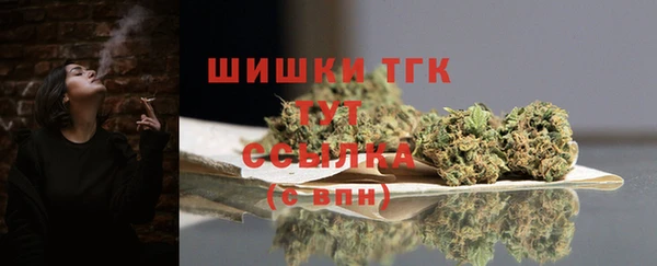 гидропоника Горно-Алтайск