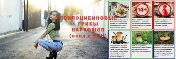 мдпв Горняк