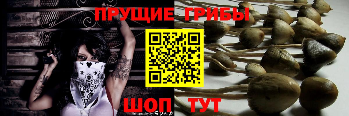 Псилоцибиновые грибы Psilocybe  купить наркоту  Гусь-Хрустальный  Вход с VPN 